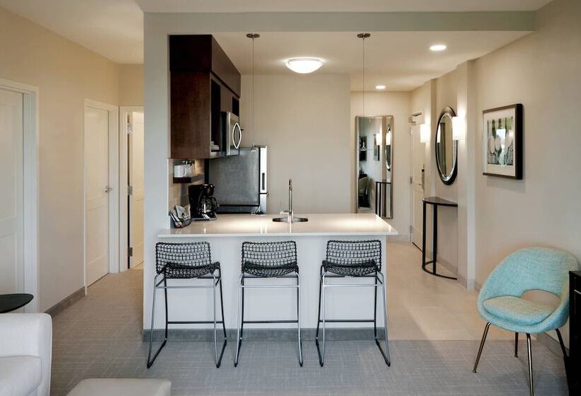 带2个卧室的套房, Towneplace Suites By Marriott Orlando Downtown