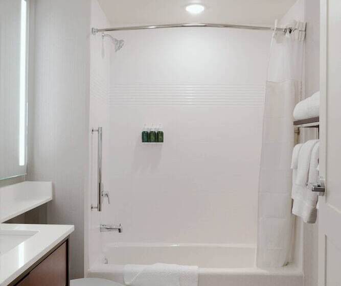 带2个卧室的套房, Towneplace Suites By Marriott Orlando Downtown