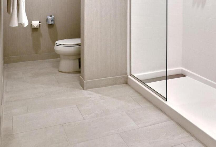 Студио Стандарт Кровать Кинг, Towneplace Suites By Marriott Orlando Downtown