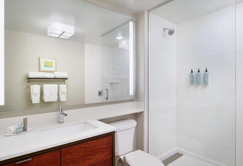 带大床的标准工作室, Towneplace Suites By Marriott Orlando Downtown