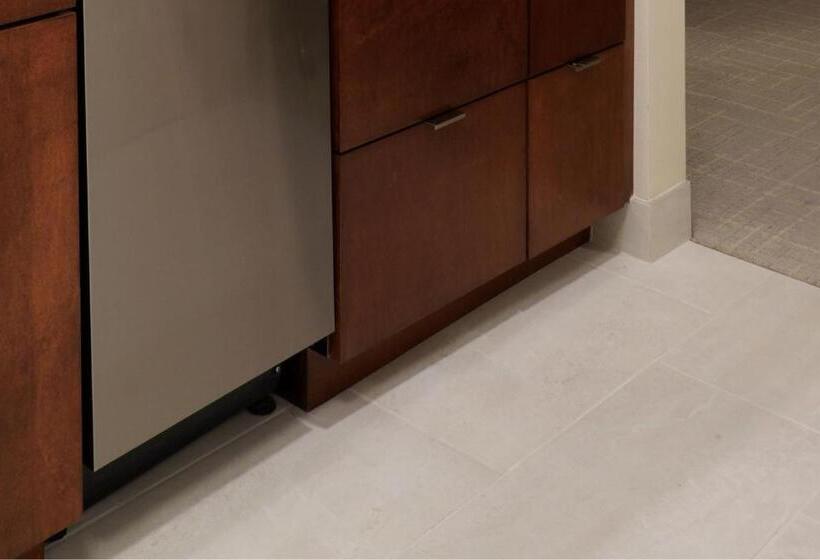 标准工作室, Towneplace Suites By Marriott Orlando Downtown