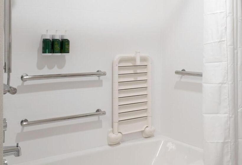 带大床的套房, Towneplace Suites By Marriott Orlando Downtown