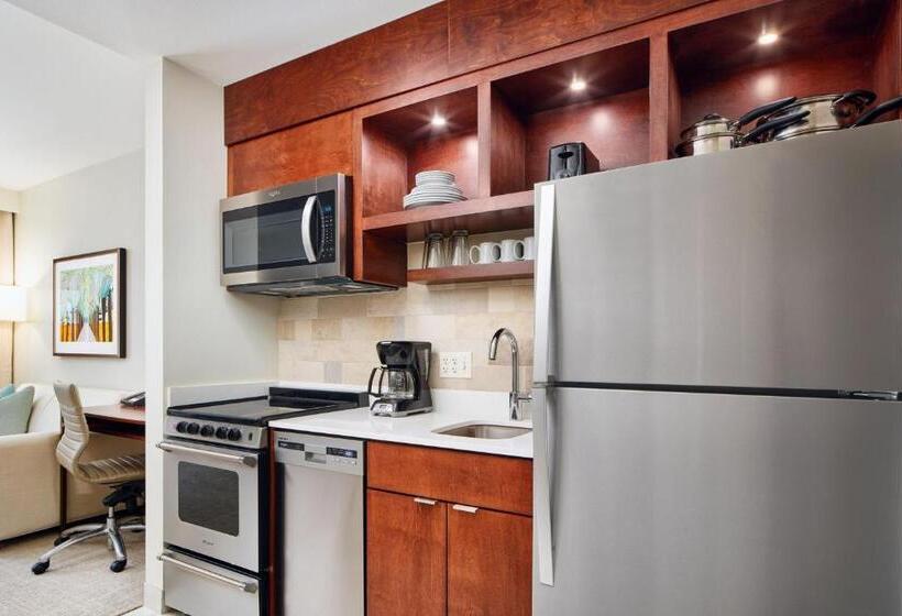 带大床的套房, Towneplace Suites By Marriott Orlando Downtown