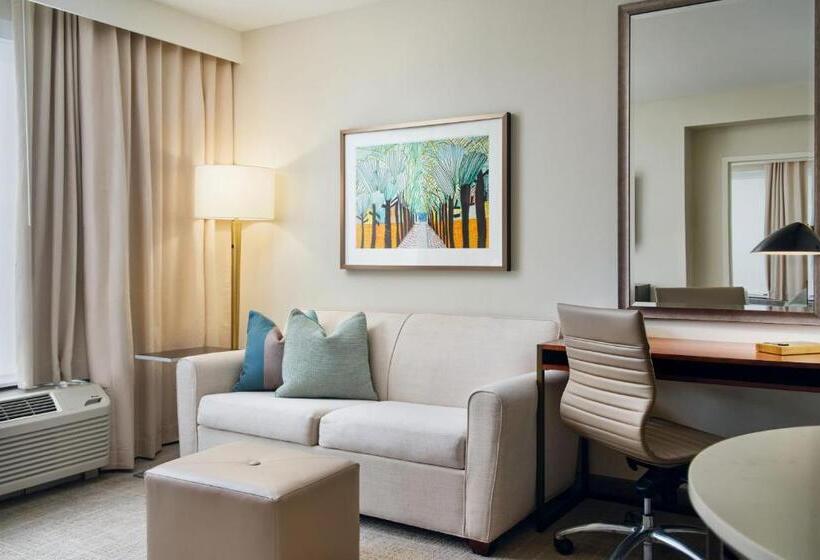 带大床的套房, Towneplace Suites By Marriott Orlando Downtown