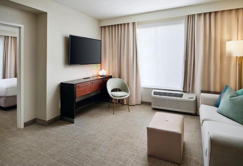 带大床的套房, Towneplace Suites By Marriott Orlando Downtown