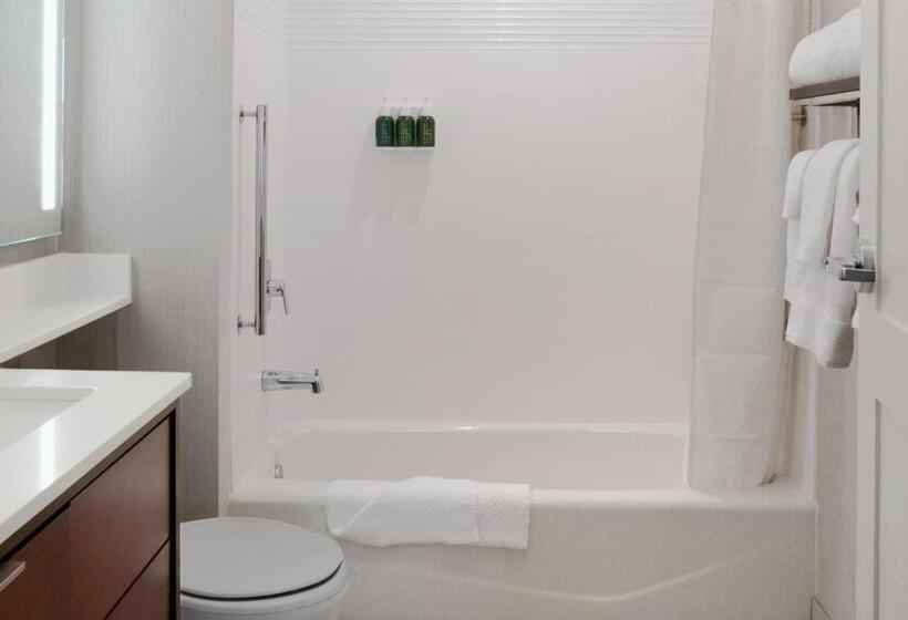 带2个卧室的套房, Towneplace Suites By Marriott Orlando Downtown