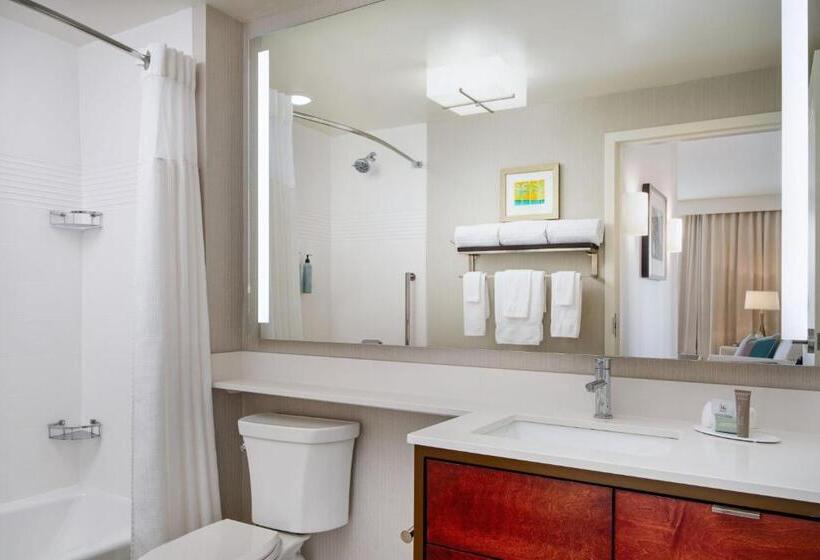 Люкс 2 Спальни, Towneplace Suites By Marriott Orlando Downtown