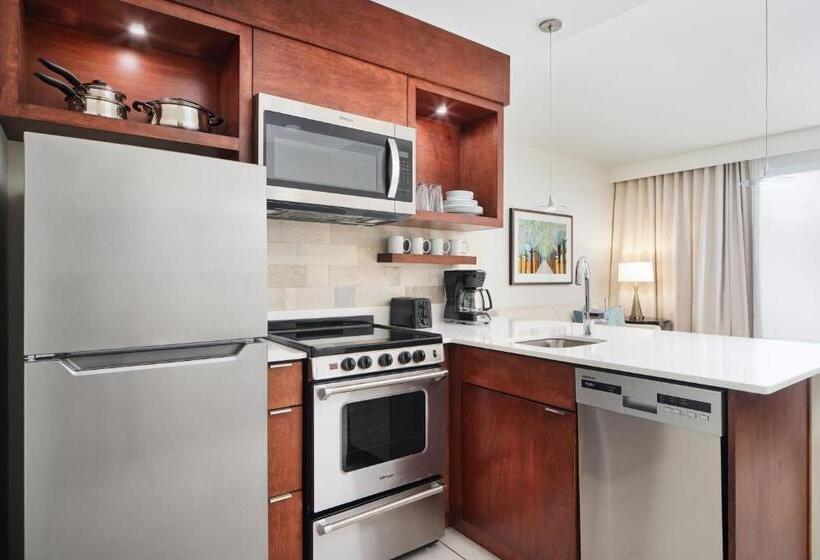 带2个卧室的套房, Towneplace Suites By Marriott Orlando Downtown