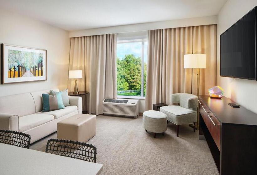 带2个卧室的套房, Towneplace Suites By Marriott Orlando Downtown