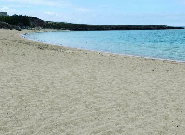 اتاق استاندارد, Come Nelle Favole