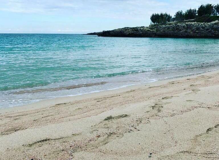 اتاق استاندارد, Come Nelle Favole