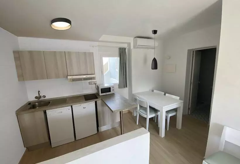 آپارتمان سوپریور 1 خوابه, Apartamentos Vista Alegre Mallorca