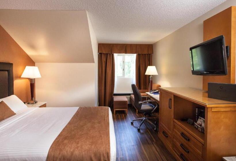 스탠다드 룸 퀸사이즈 침대, Coast Hillcrest