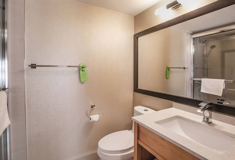 스탠다드 룸 퀸사이즈 침대, Coast Hillcrest