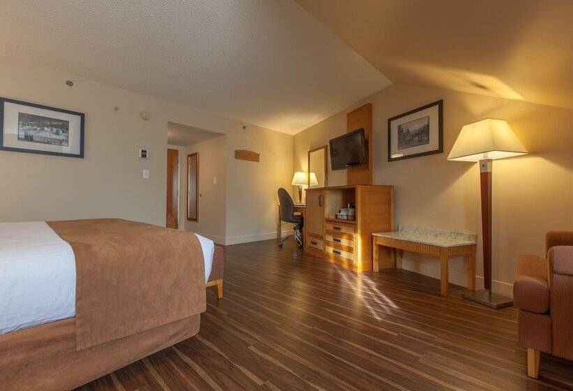 스탠다드 룸 퀸사이즈 침대, Coast Hillcrest