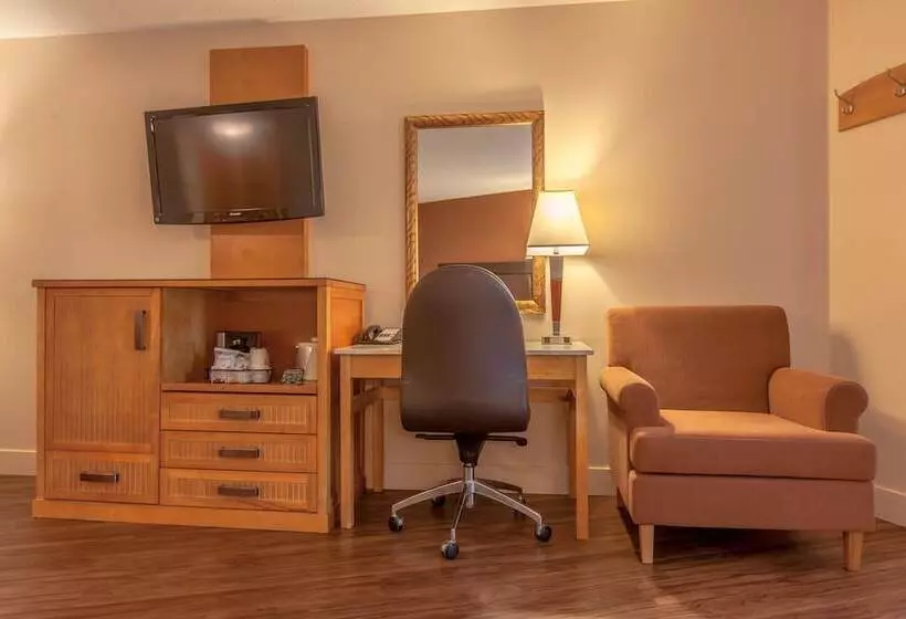 اتاق استاندارد با تخت بزرگ, Coast Hillcrest