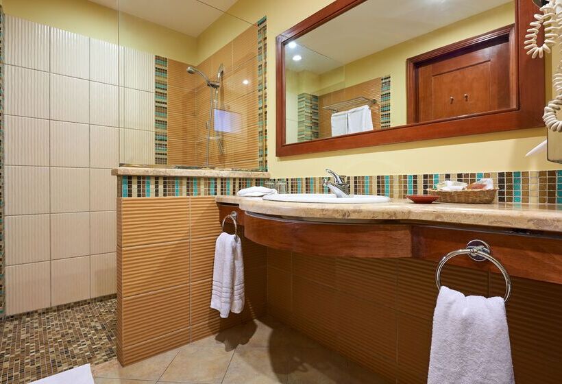 اتاق استاندارد با چشم‌انداز دریا, Mosaique Beach Resort Taba Heights