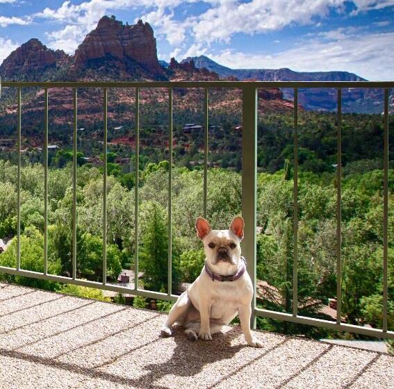 プレミアムジュニアスイート, The Cliffs