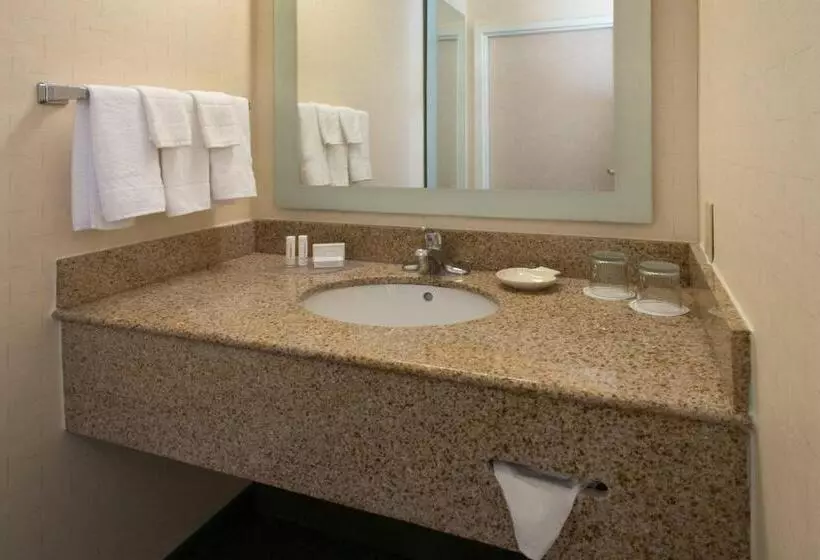 キングサイズベッドのスイートルーム, Springhill Suites By Marriott Orlando North Sanford