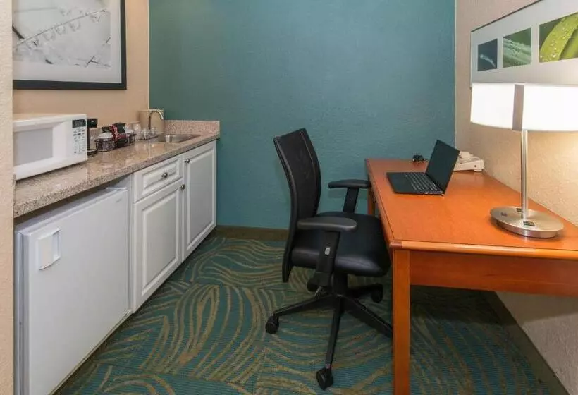 キングサイズベッドのスイートルーム, Springhill Suites By Marriott Orlando North Sanford
