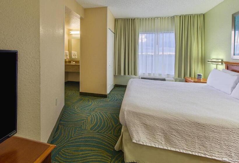 스위트 킹사이즈 침대, Springhill Suites By Marriott Orlando North Sanford