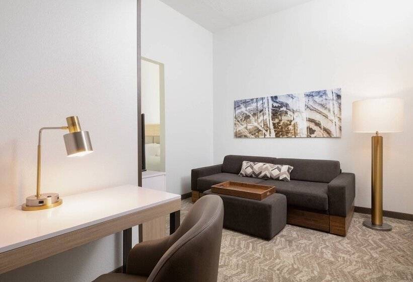 套房, Springhill Suites By Marriott Williamsburg