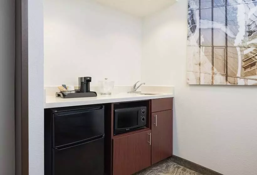 سوییت جونیور, Springhill Suites By Marriott Williamsburg