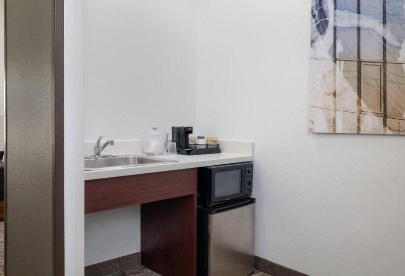 套房, Springhill Suites By Marriott Williamsburg