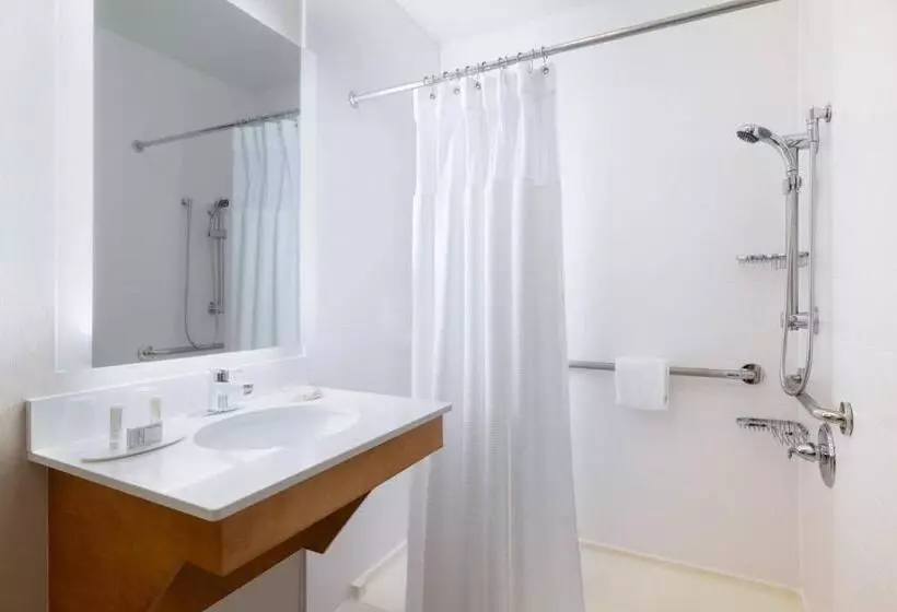 سوئیت با تخت بزرگ, Springhill Suites By Marriott Williamsburg