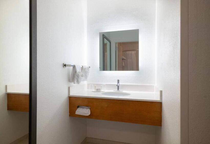 带大床的套房, Springhill Suites By Marriott Williamsburg