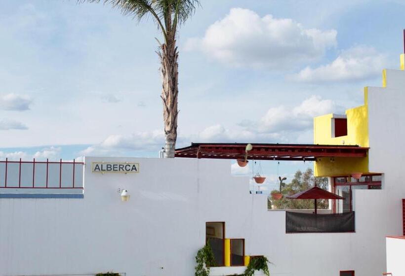 اتاق اکونومی, Inmotega Suites Tg