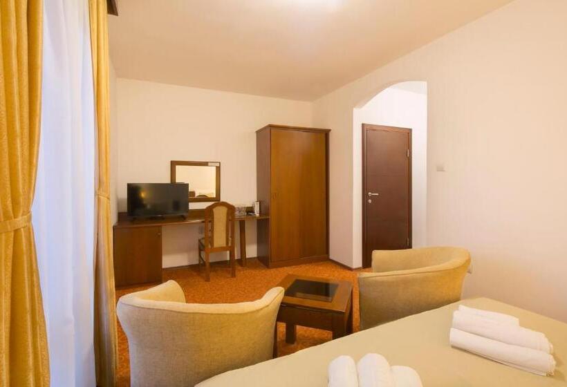 Standardzimmer mit Terrasse, Villa Ljubanovic