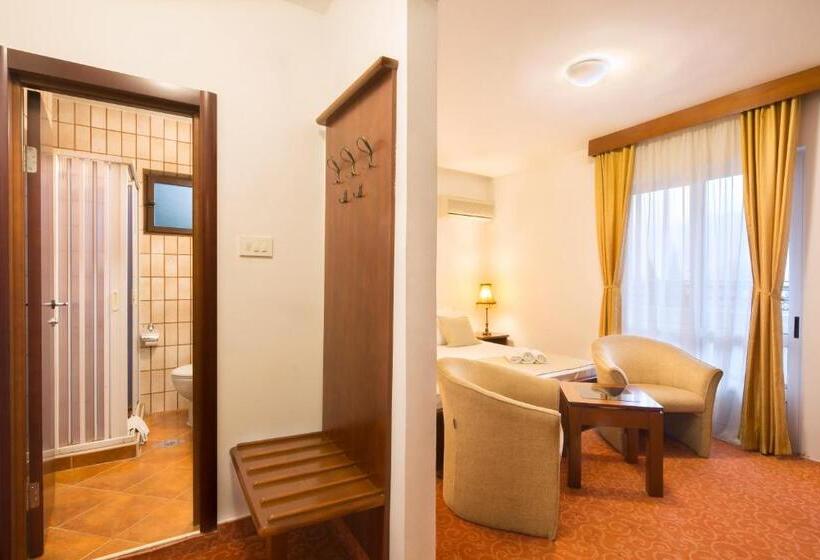 Standardzimmer mit Terrasse, Villa Ljubanovic