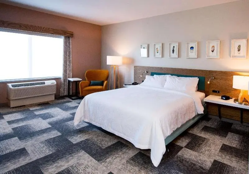 اتاق استاندارد با تخت بزرگ برای معلولان, Hilton Garden Inn Moncton, Nb
