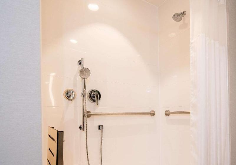 Номер Стандарт Кровать Кинг Адаптированный для Инвалидов, Hilton Garden Inn Moncton, Nb