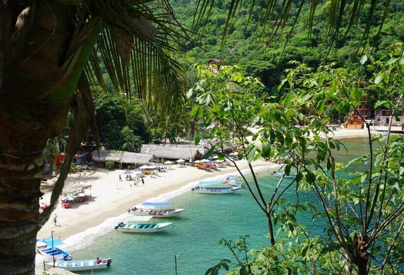 Presidentsvit, Puerto Vallarta South Shore Luxury Suites