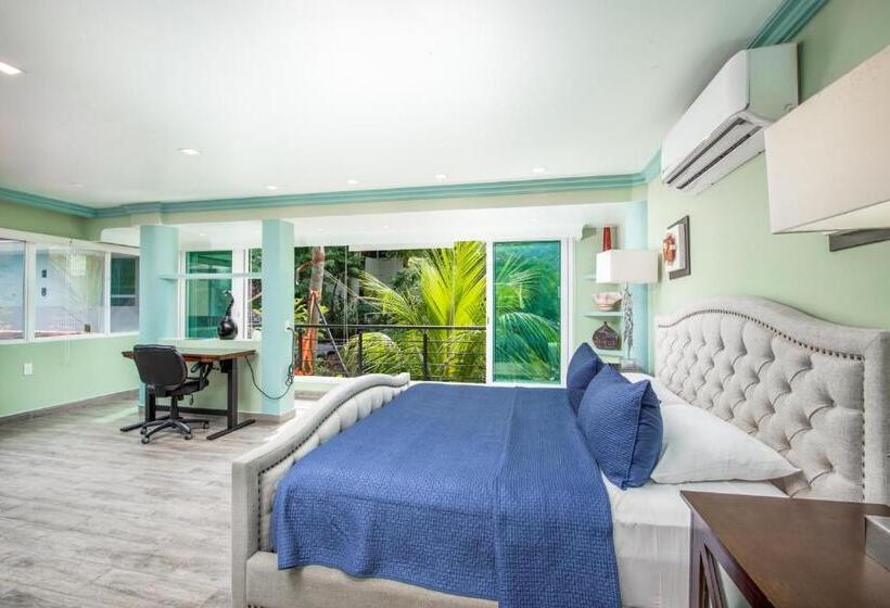带园景的小型套房, Puerto Vallarta South Shore Luxury Suites