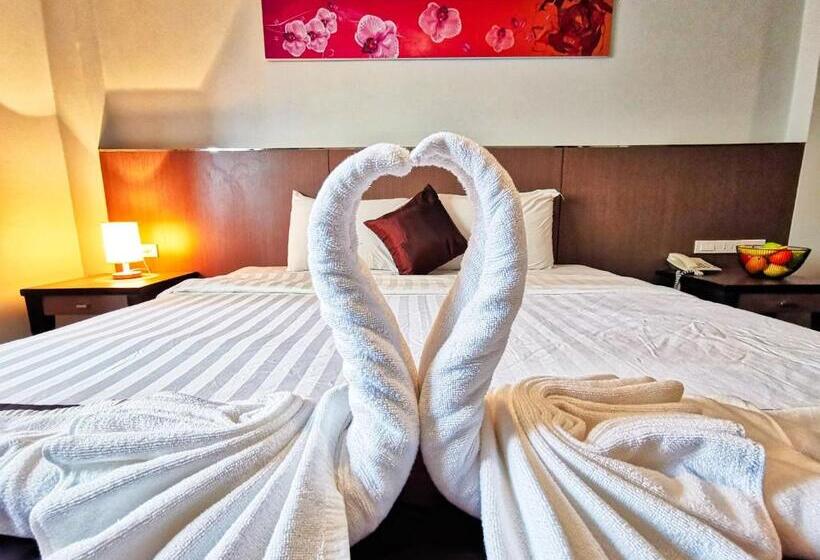 סטודיו דלוקס, Scandia Beach