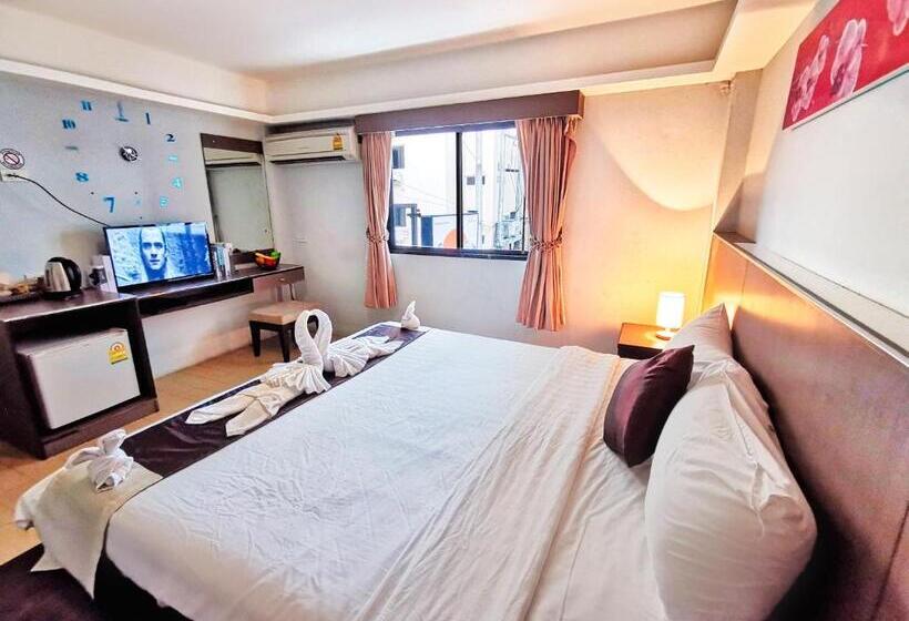 סטודיו דלוקס, Scandia Beach