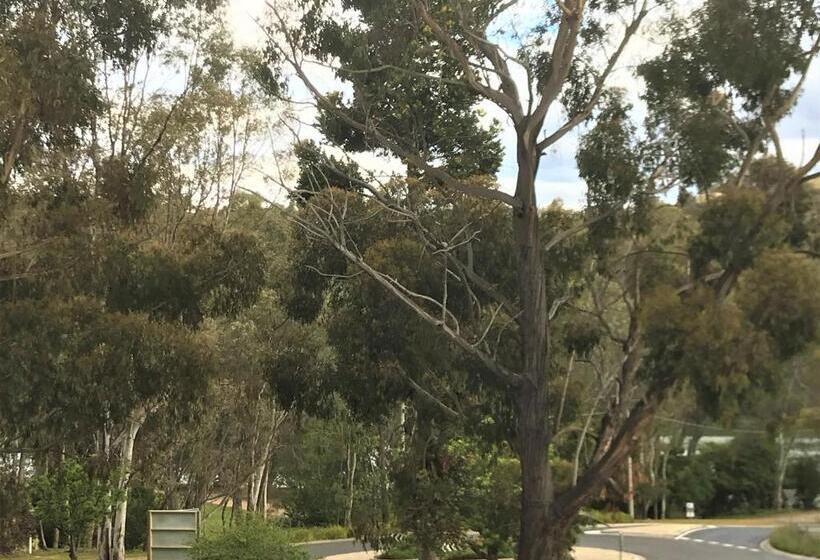 패밀리 룸, Eildon Lake Motel