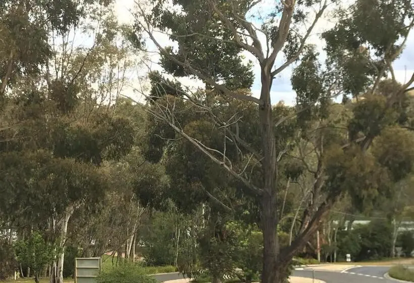 デラックスルーム, Eildon Lake Motel
