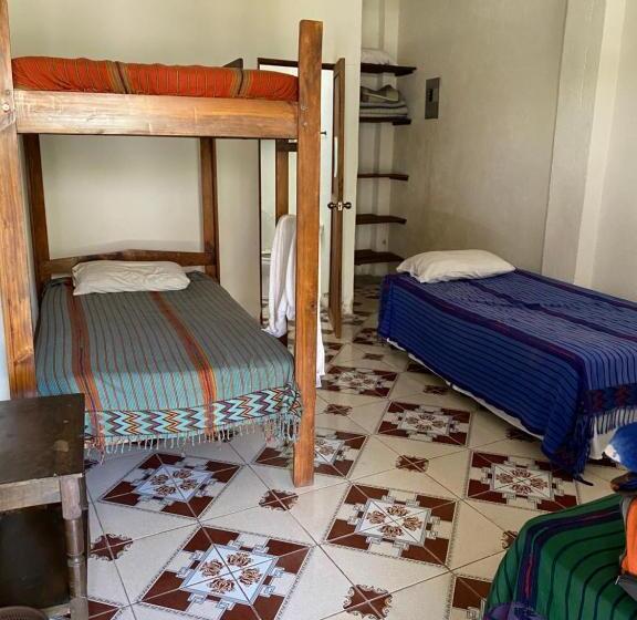 اتاق استاندارد چهارنفره با چشمانداز باغ, Posada Gutierrez