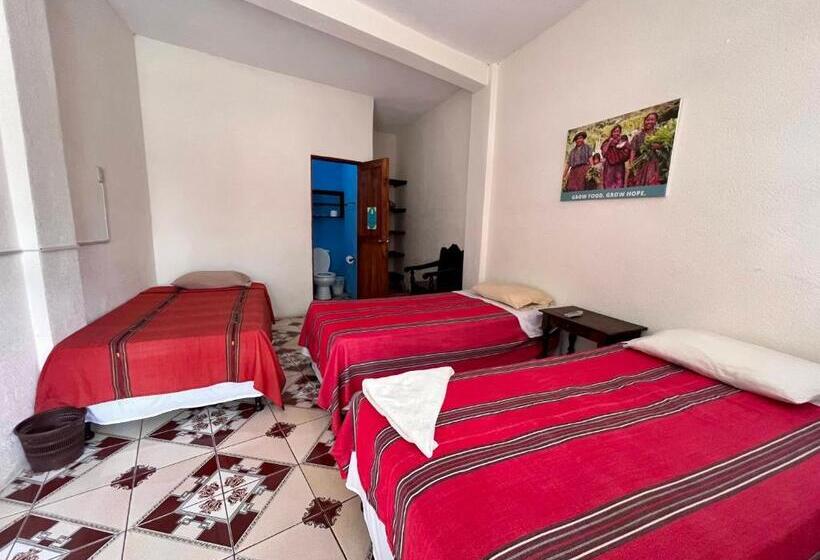 اتاق استاندارد سه نفره, Posada Gutierrez