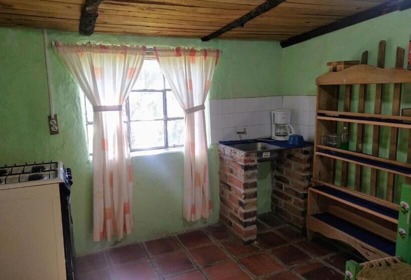 デラックスルーム, Rincón Del Real