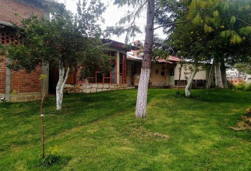 Economy Room, Rincón Del Real