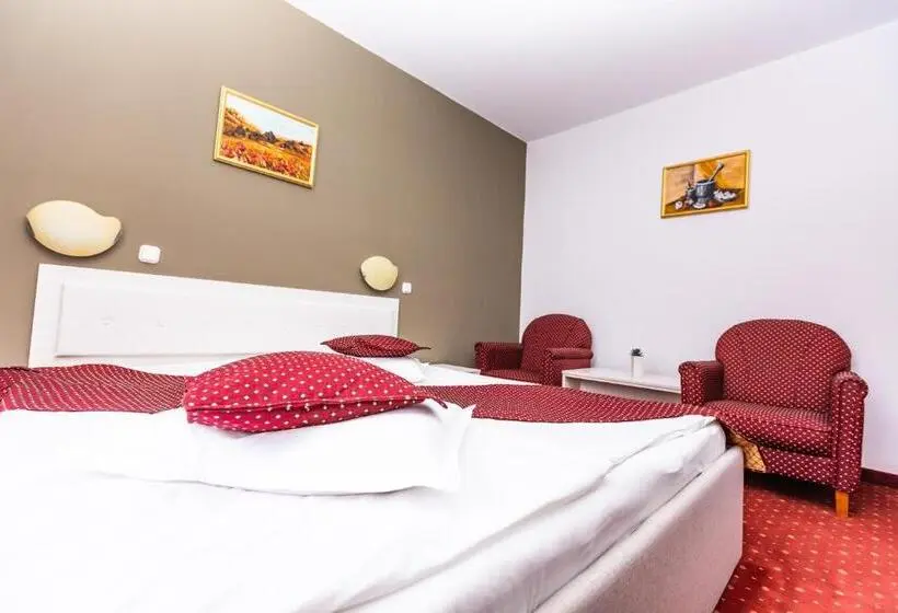 اتاق استاندارد, Miraj   Restaurant & Sauna & Biliard