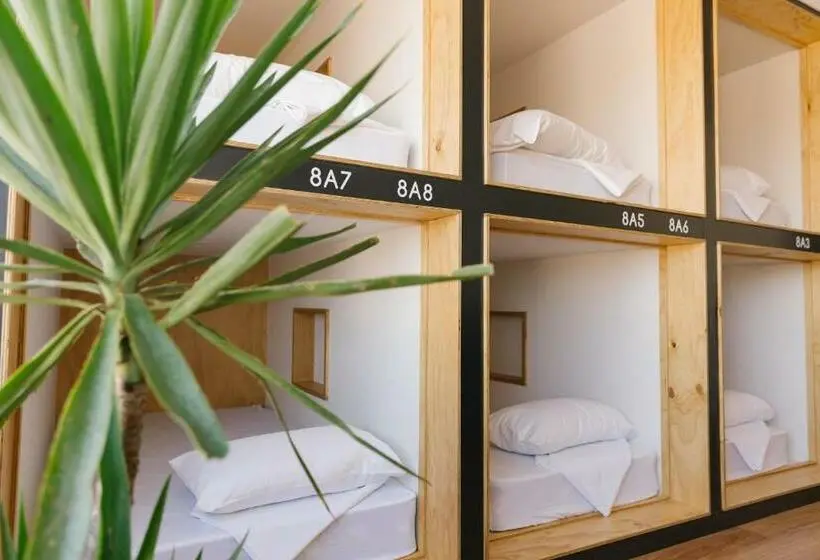ルームシェアのワンベッド, Woopi Backpackers