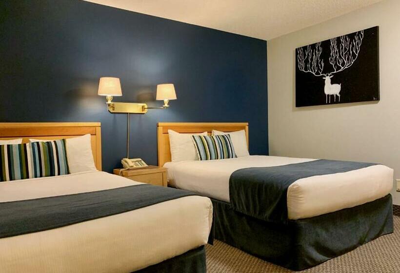 Standard Room, Altona