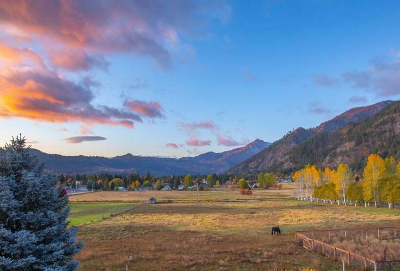 スタンダードルーム, Abendblume