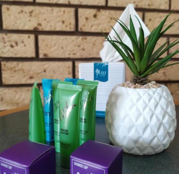 חדר אקונומי לשלושה, Toukley Motel